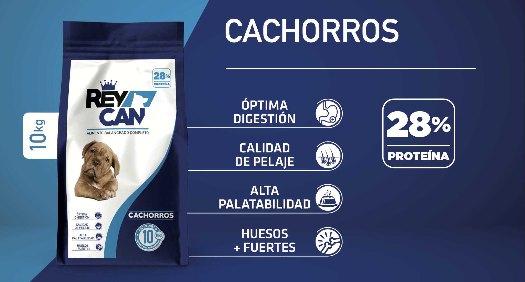 cachorros-reycan