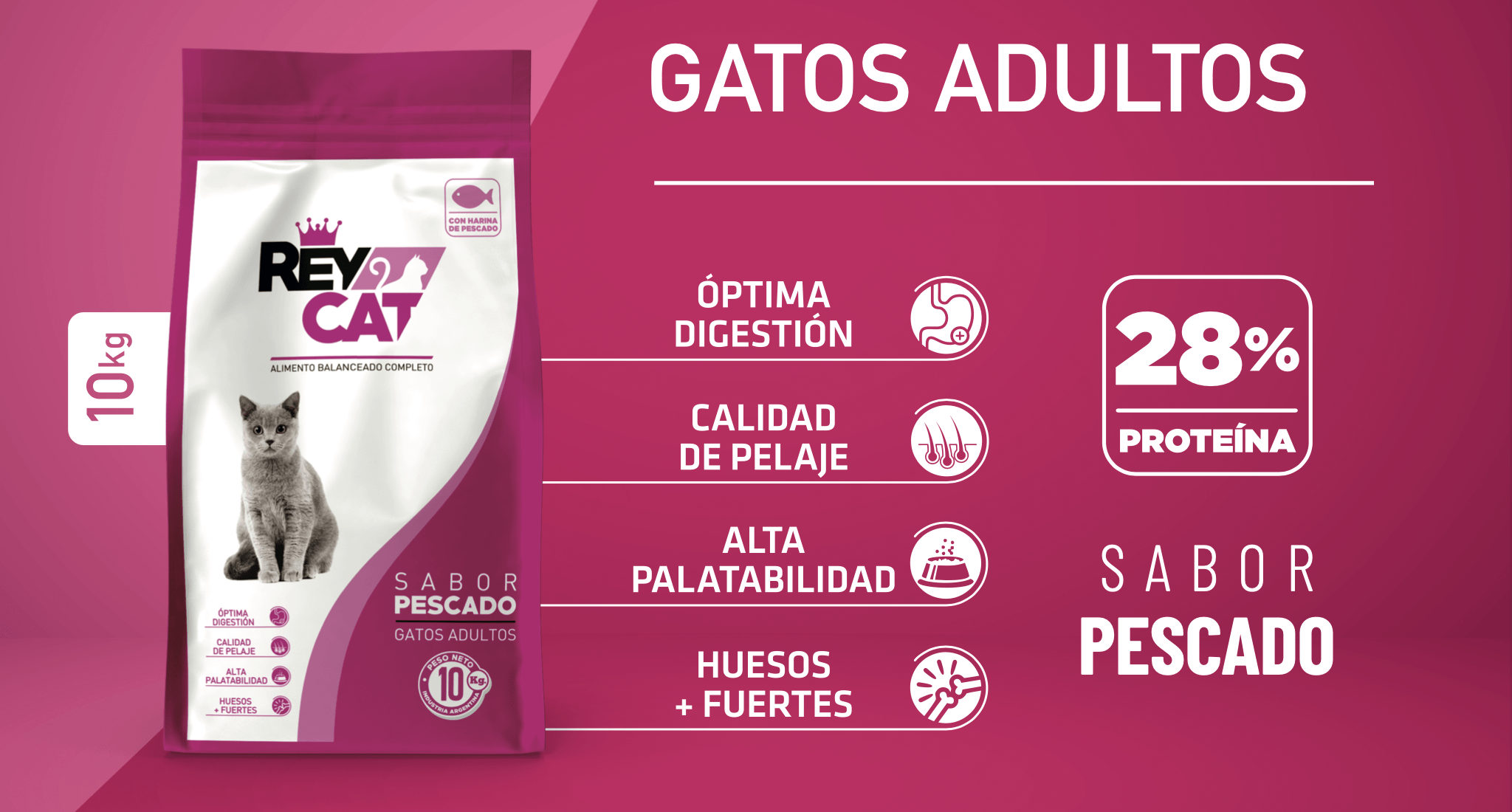 gatos adutlos rey cat